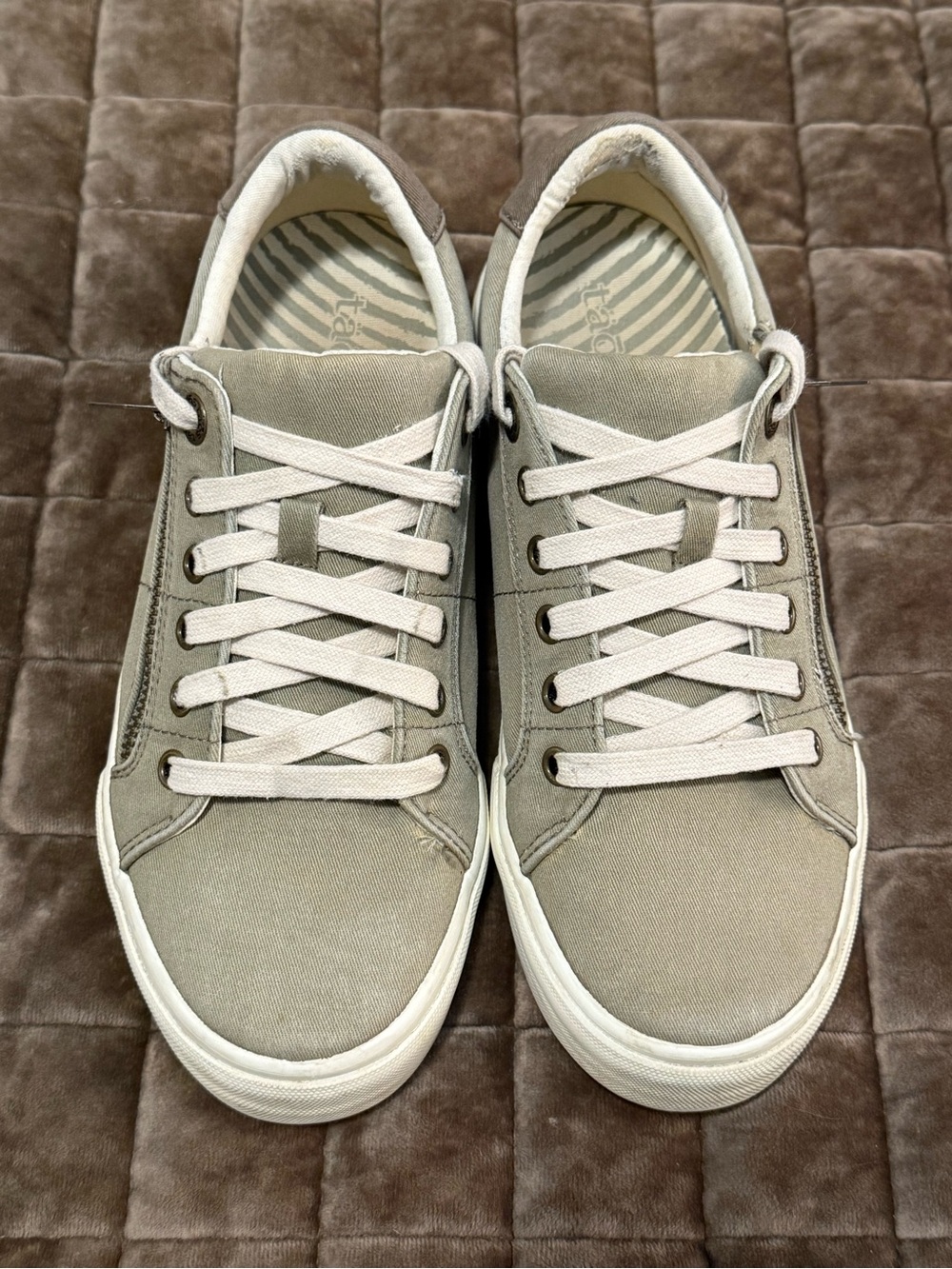 Taos Z Soul Low-Top Canvas Sneakers in Taupe/Green